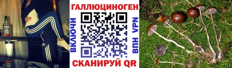Псилоцибиновые грибы ЛСД  Каргополь 